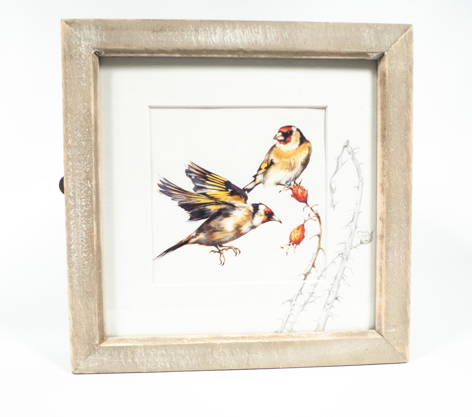 Item pictured by Elaine Franks. Photography by Gina Hughes. Item pictured by Elaine Franks. Photography by Gina Hughes.