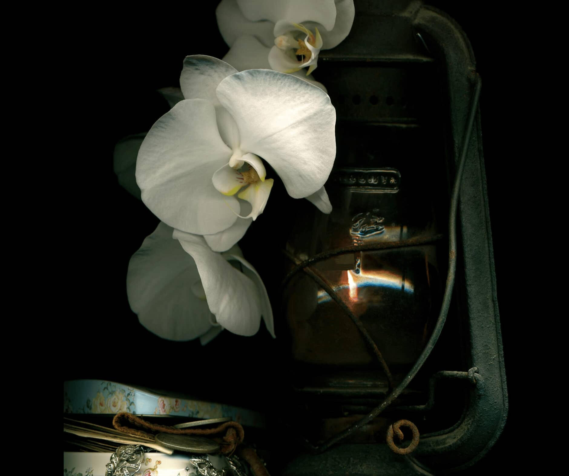 Photography by Gina Hughes Photography by Gina Hughes