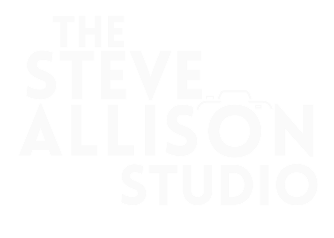 The Steve Allison Studio The Steve Allison Studio